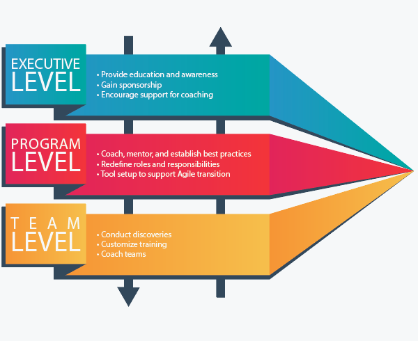 Agile Transformation career
